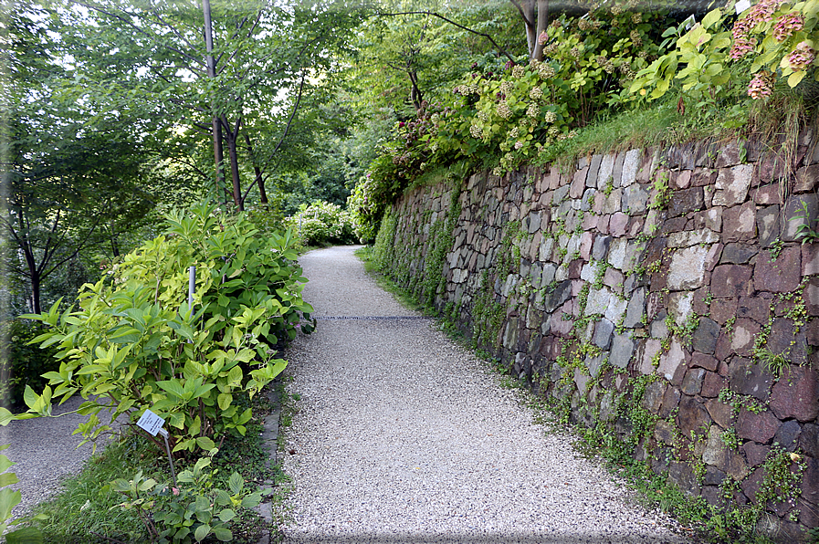 foto Giardini Trauttmansdorff - Boschi del Mondo